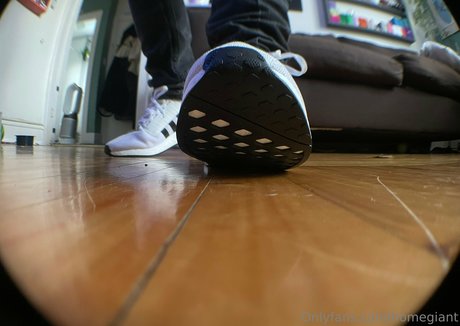 homegiant actrice érotique collection