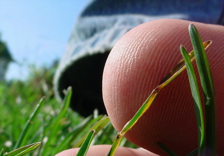 homegiant haut de star du porno galeries