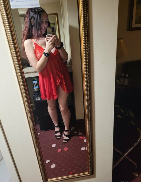 backshotvikings étoile de haute qualité image