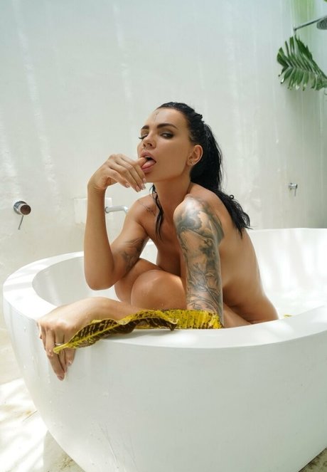 sunny free modèle de haute qualité image