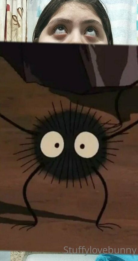 StuffyLoveBunny star du porno belle collection