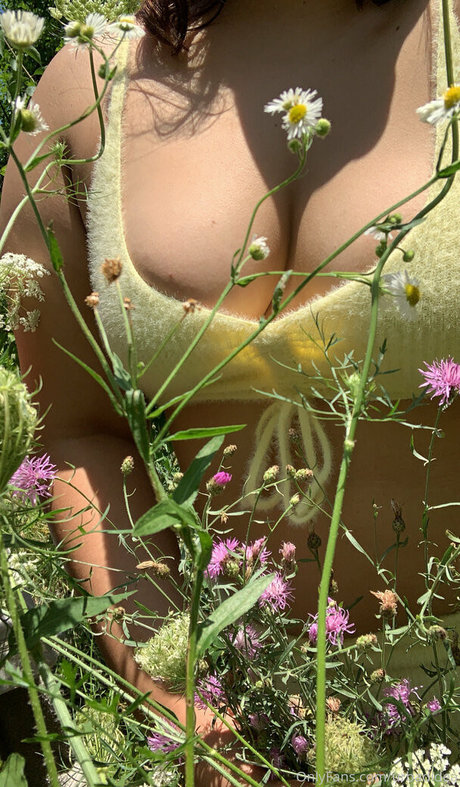 point de vue asiatique uniquementfans xxx parfait photo