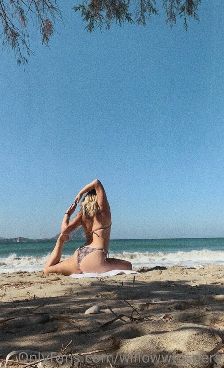 willowwhispers nus étoiles photo