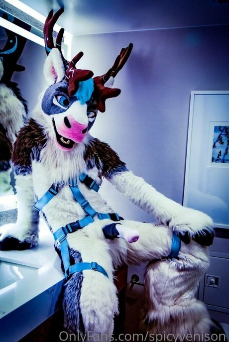 spicyvenison sexe star archive