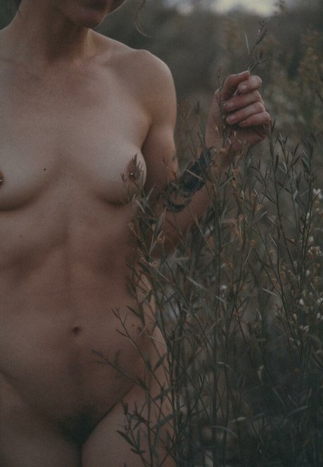 Ever Curious sexe star images