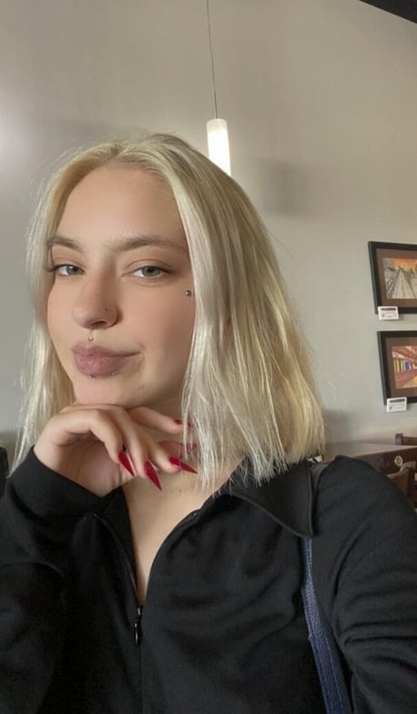 violets cabaret étoile magnifique archive