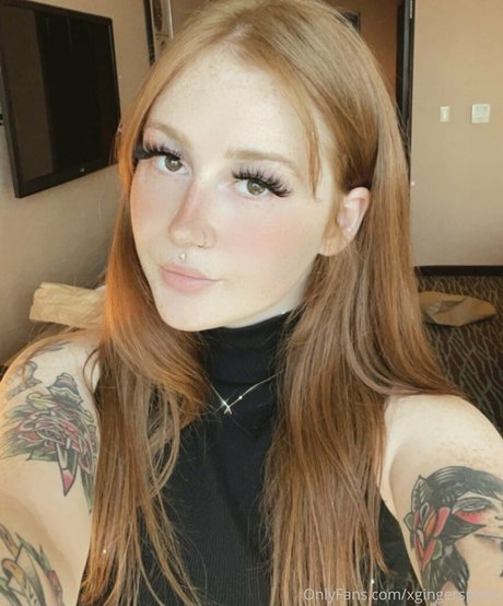 fans de voitures uniquement parfait et sexy collection