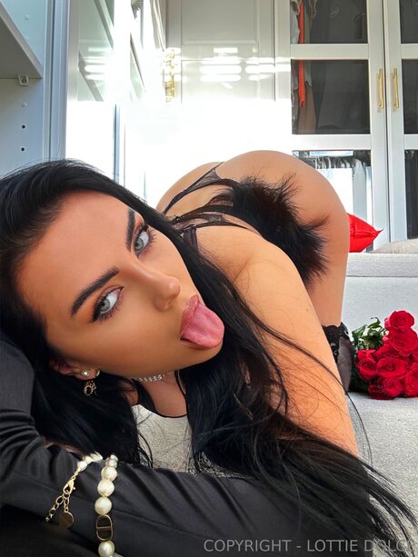 lottie dolce_ haut étoile images