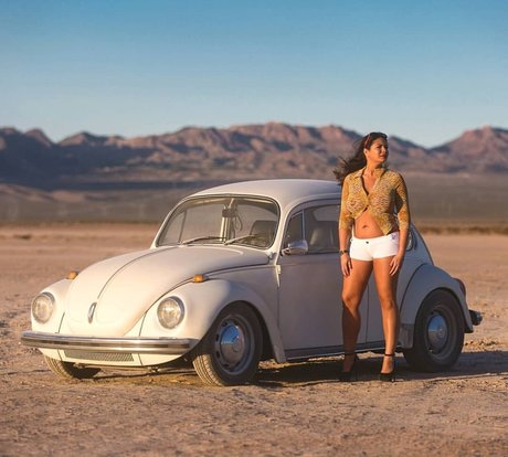 Eimeo top star images