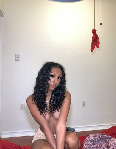 burlz haut modèle galerie