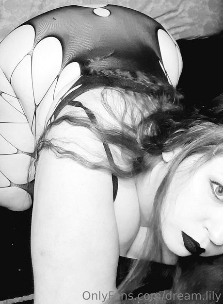 dream lily actrice nue collection