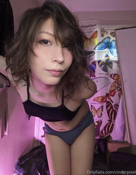 Cinderpixel jolie star du porno galeries