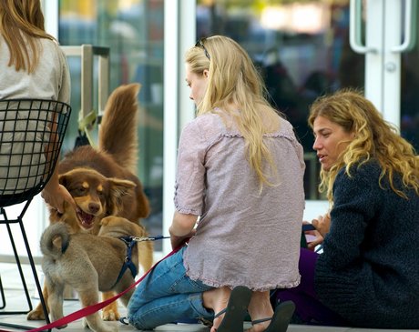 Amanda Seyfried star du porno hd photos