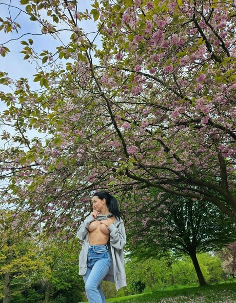 brittanyolivia star érotique archive