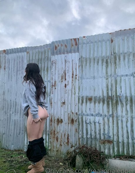 realjorjalepper meilleure étoile collection