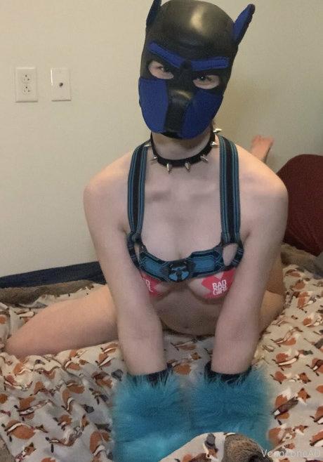 voan zonead étoile de haute qualité img