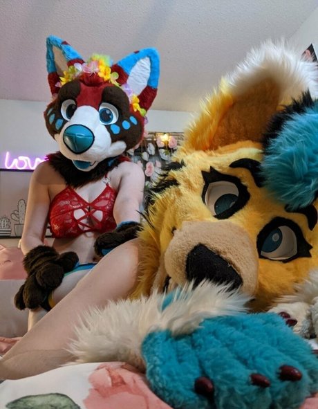 voan zonead top star collection