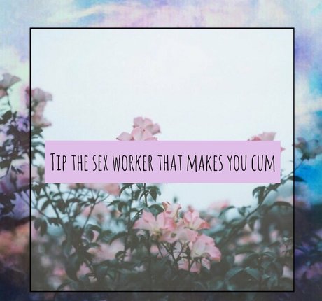 milavolker étoile parfaite galeries