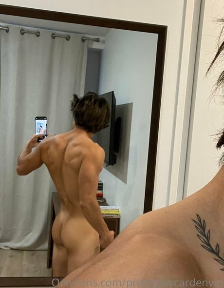 aedanvip étoile de haute qualité collection