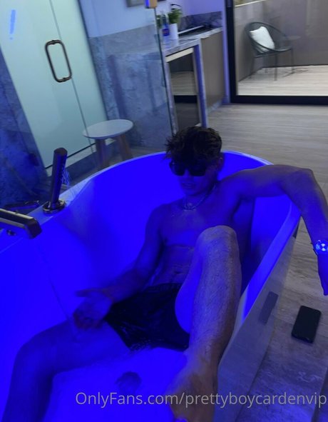 aedanvip art star du porno archive