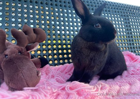 fans masculins asiatiques uniquement pornographique de haute qualité des photos