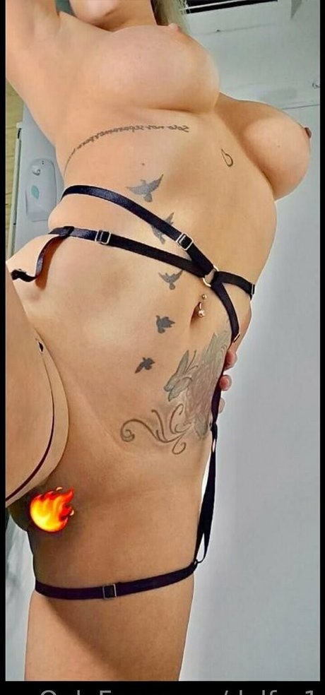 delfer1 sexe de star du porno galeries