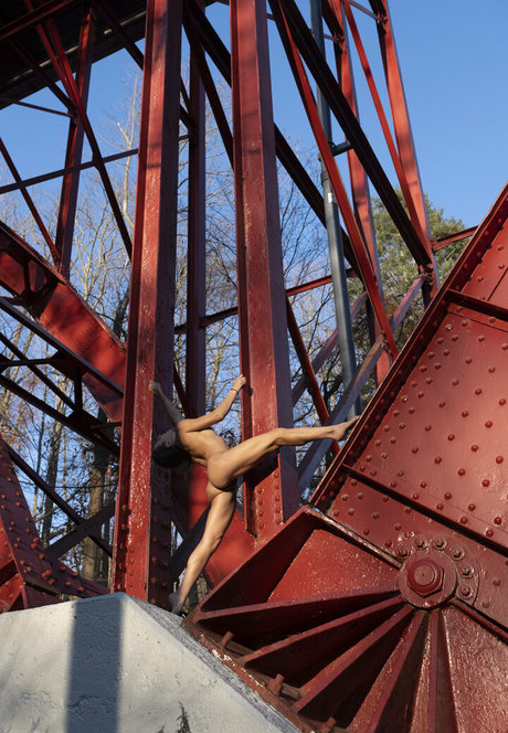 loracr0ss meilleure étoile galeries