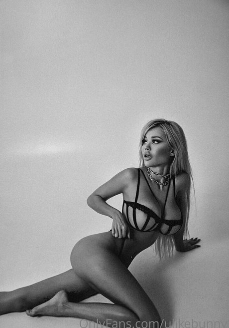 ursakura modèle joli galerie