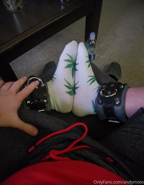 andymoto jolie étoile collection