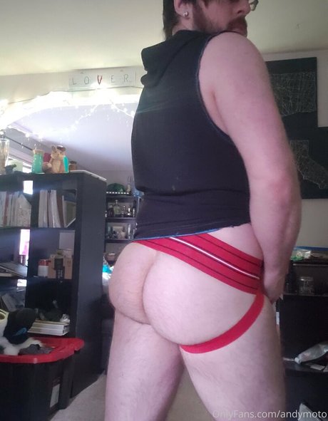 andymoto art de star du porno image