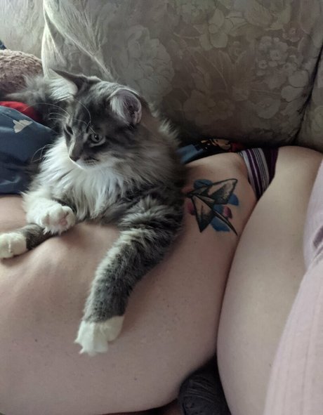 belthaneb étoile sympa collection