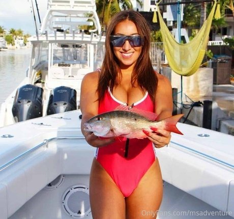 ms adventure étoile de haute qualité photos