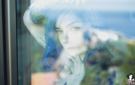 heysaria étoile magnifique archive