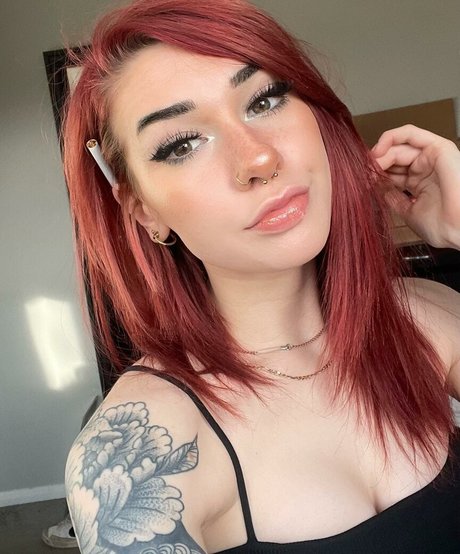 Em camp bell beau modèle archive