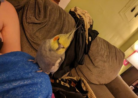 Natalie Minx jolie star du porno galeries