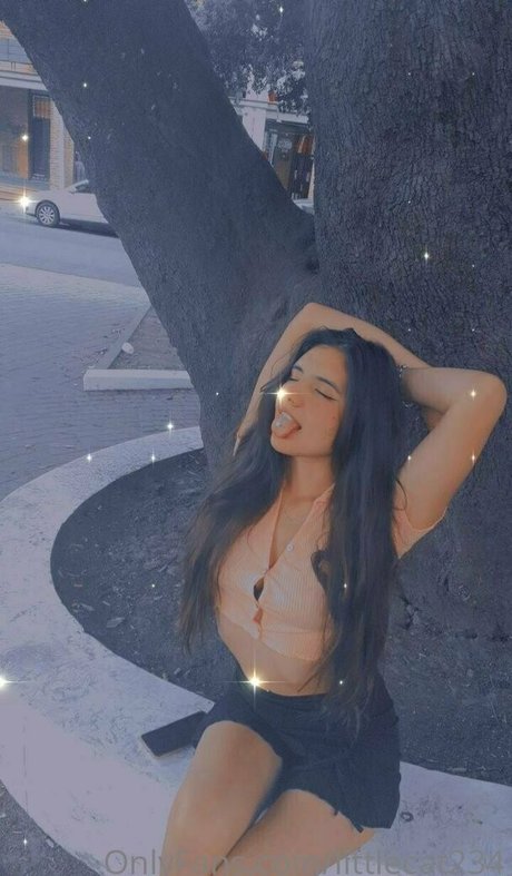 littlecat234 étoile xxx img