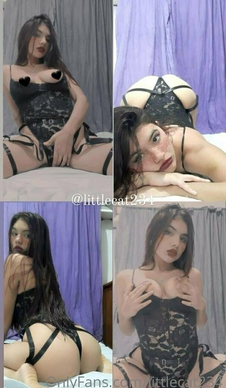 littlecat234 étoile nue collection