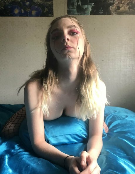 cheycheytaylor modèle gratuit galeries