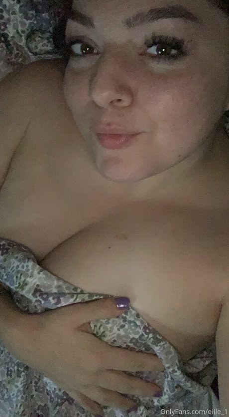 eille 1 modèle gratuit galeries