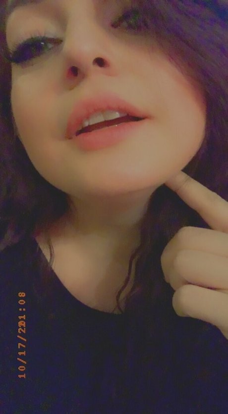 eille 1 modèle meilleur collection