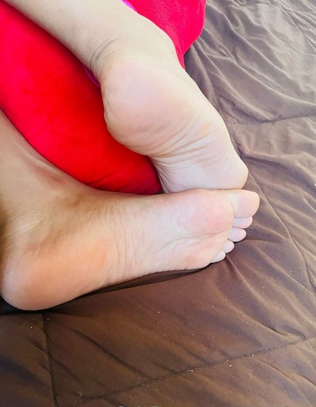 vanneyfans étoile gratuite galeries