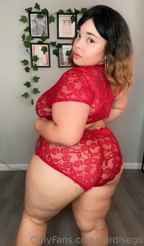 cardisego beau modèle img