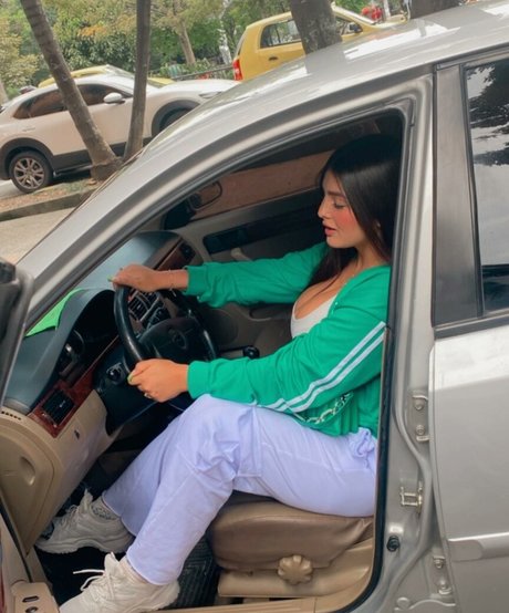 Dayalis Moreno art étoile galeries