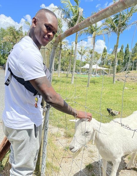 freestylebender jolie star du porno images