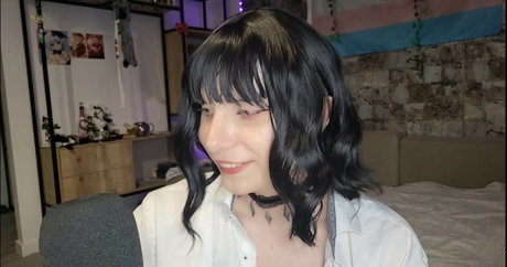 chaton potelé uniquementfans art meilleur photo