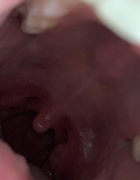 aliceeats star du porno nue photo