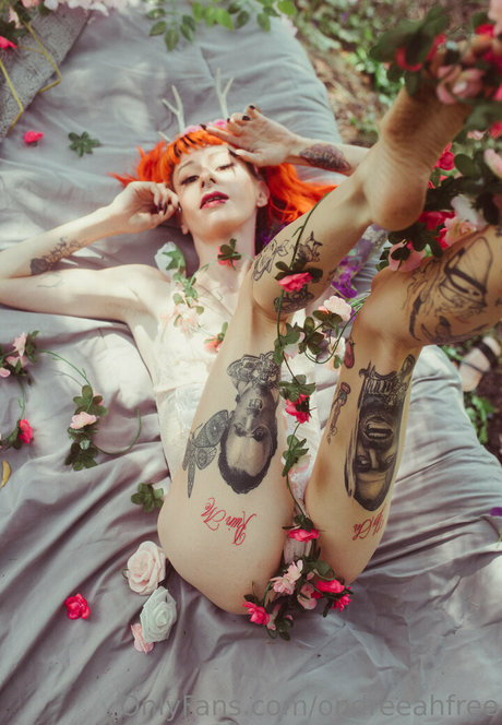 ondreeahfree star du porno gratuite archive