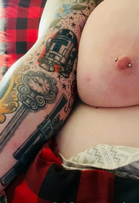 mrsfettt art de star du porno collection