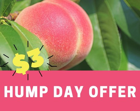 scarlettmrose joli modèle archive