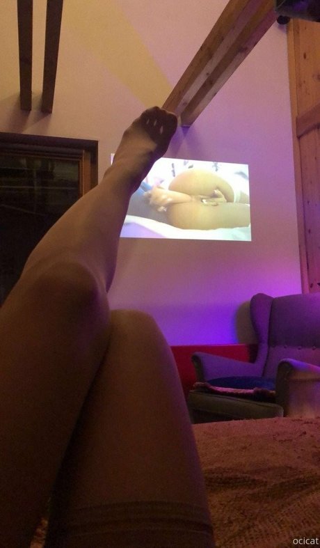 Ocicat nus étoiles photos
